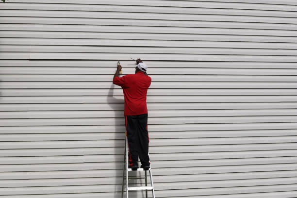 Best Hoarding Cleanup  in Greenville, IN
