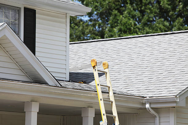 Best Demolition Debris Removal  in Greenville, IN